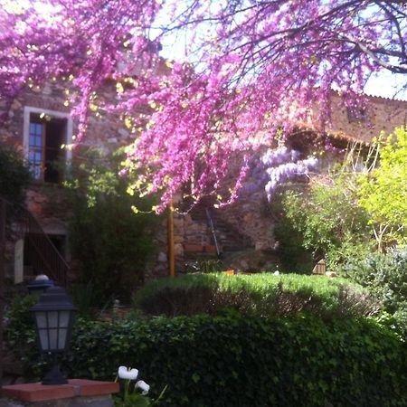 La Figuera Bed & Breakfast Camélas Dış mekan fotoğraf