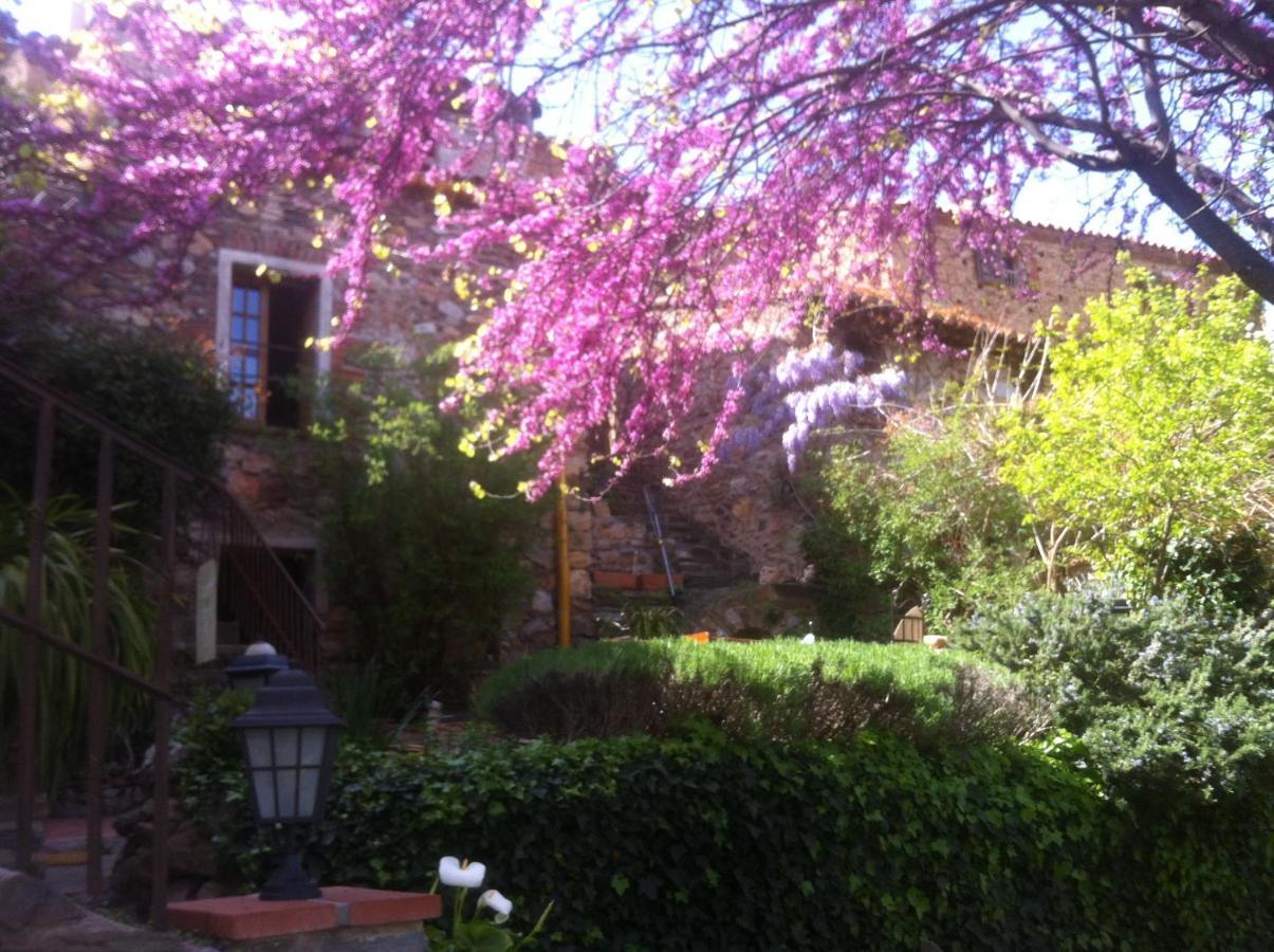 La Figuera Bed & Breakfast Camélas Dış mekan fotoğraf
