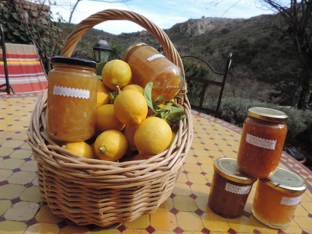 La Figuera Bed & Breakfast Camélas Dış mekan fotoğraf